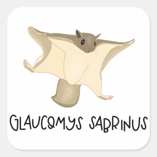 Vliegende eekhoorn sticker (Voorkant)