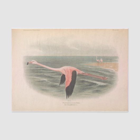 Vliegende Flamingo Bird Ephemera Decoupage Tissuepapier (Voorkant)