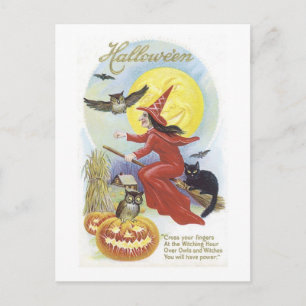 Vliegende heks, vleermuizen, katten, kippen briefkaart