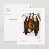 vliegende hond briefkaart (Voorkant / Achterkant)