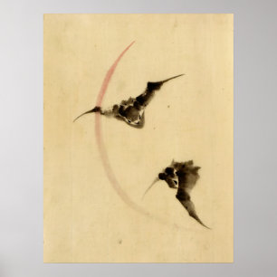 Vliegende honden 1840 poster