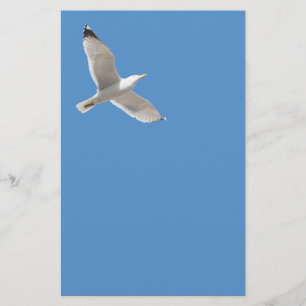 Vliegende meeuw flyer