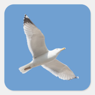 Vliegende meeuw vierkante sticker