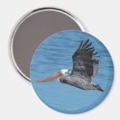 Vliegende Pelikaan Magneet 8 (Voorkant / Achterkant)