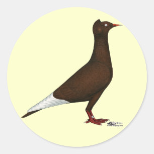 vliegende Pet duif Ronde Sticker