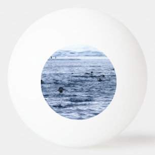 Vliegende pinguïn pingpongballen