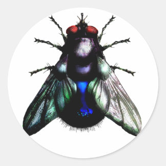 Vliegende sticker