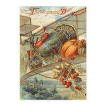 Vliegende Turkije Vliegtuig Pompoen Appel Peer Mai