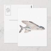 Vliegende vis Exocoetidae Briefkaart (Voorkant / Achterkant)
