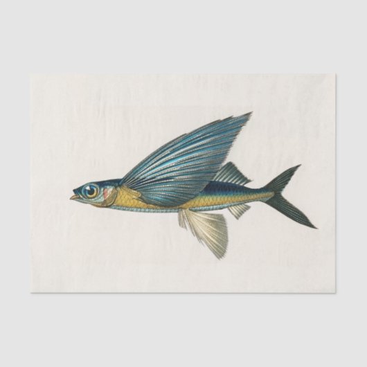  vliegende vis waterverf tissuepapier (Voorkant)