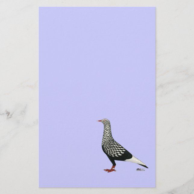 vliegende vliegende tiener duif (Voorkant)