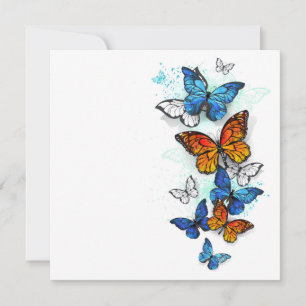 Vliegende Vlinders Morpho en Monarch Aankondiging