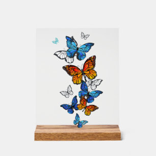 Vliegende Vlinders Morpho en Monarch Acryl Bord