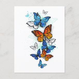 Vliegende Vlinders Morpho en Monarch Feestdagenkaart