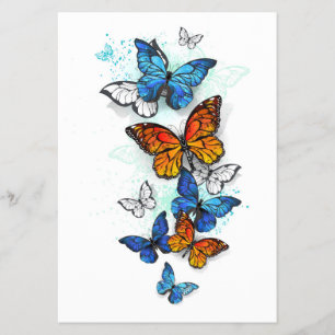 Vliegende Vlinders Morpho en Monarch Flyer