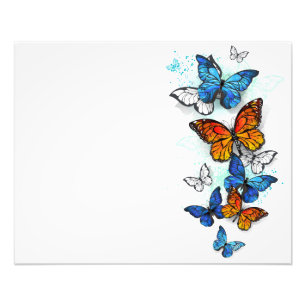 Vliegende Vlinders Morpho en Monarch Foto Afdruk