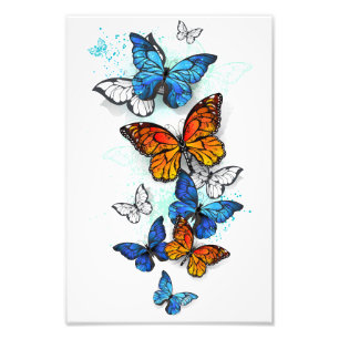 Vliegende Vlinders Morpho en Monarch Foto Afdruk