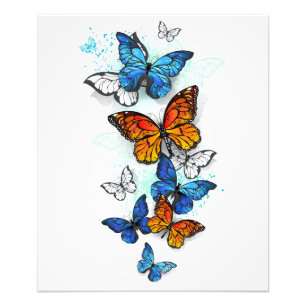 Vliegende Vlinders Morpho en Monarch Foto Afdruk