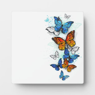 Vliegende Vlinders Morpho en Monarch Fotoplaat