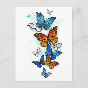 Vliegende Vlinders Morpho en Monarch Informatiekaartje