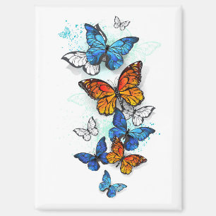 Vliegende Vlinders Morpho en Monarch Magneet