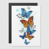Vliegende Vlinders Morpho en Monarch Magnetische Uitnodiging (Voorkant / Achterkant)