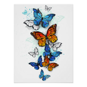 Vliegende Vlinders Morpho en Monarch Perfect Poster