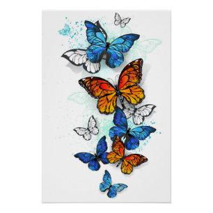 Vliegende Vlinders Morpho en Monarch Perfect Poster