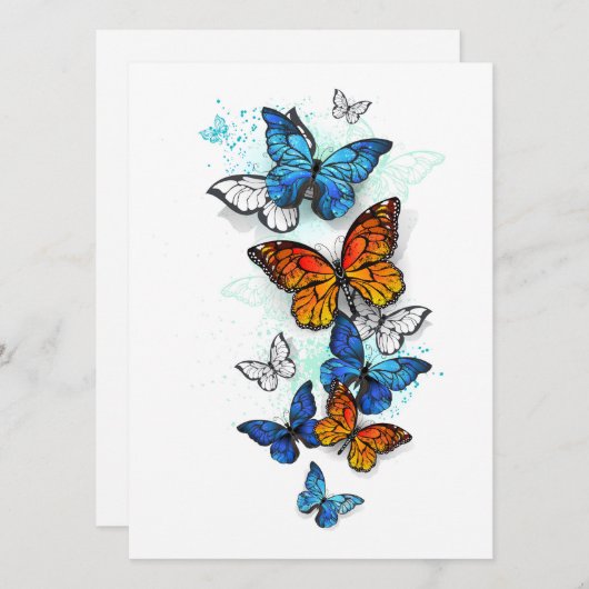 Vliegende Vlinders Morpho en Monarch Programma (Voorkant / Achterkant)