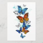 Vliegende Vlinders Morpho en Monarch Programma (Voorkant)