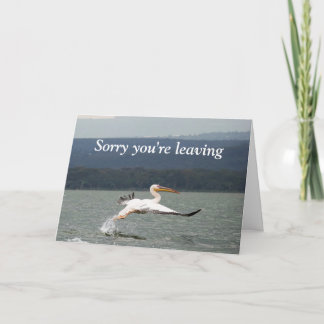 Vliegende vogel die kaart verlaten