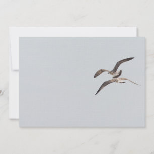 Vliegende zeegarenden