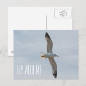 Vliegende zeemeeuw briefkaart (Voorkant / Achterkant)