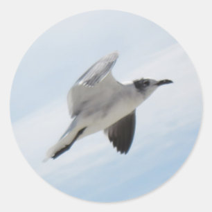 Vliegende zeemeeuw ronde sticker