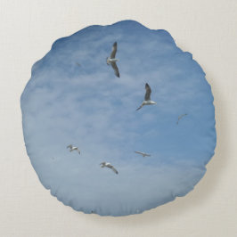 Vliegende zeemijlen rondom de loods rond kussen