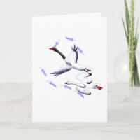 Vliegende Zwanen Minimalistische Fantasie Geboorte
