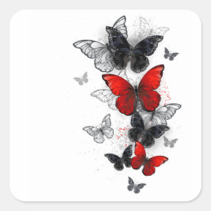 Vliegende Zwarte en Rode Morpho Vlinders Vierkante Sticker
