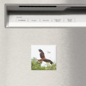 Vlieger in vlucht.... magneet (Insitu (Vaatwasser))