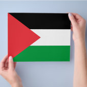 Vlieger met de vlag van Palestina Flyer (Hand)