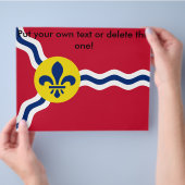 Vlieger met vlag van St. Louis, Missouri Flyer (Hand)