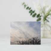 Vliegganzen Briefkaart (Staand voorkant)