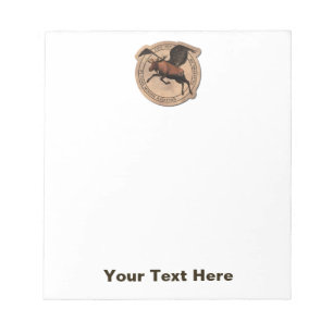 Vliegingspatch van Vliegtuig Notitieblok