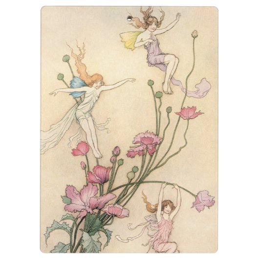 vliegjes, drie spirits gevuld met joy klembord (Achterkant)