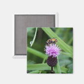 vliegmagneet magneet (Voorkant / Achterkant)