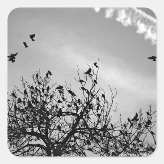 Vliegpad Vierkante Sticker (Voorkant)