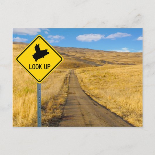 Vliegpigteken Briefkaart (Voorkant)