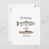 Vliegregenboogforel - Steelkop Briefkaart (Voorkant / Achterkant)