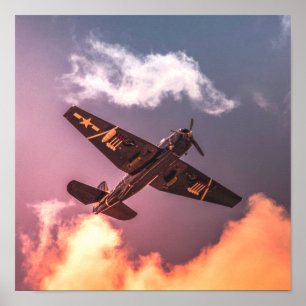 vliegtuig Beauful Sky Poster
