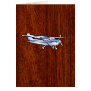 Vliegtuig Cessna Cessna Flying Mahogany