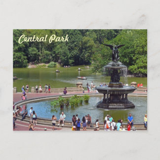 Vliegtuig en meer in Central Park, New York City Briefkaart